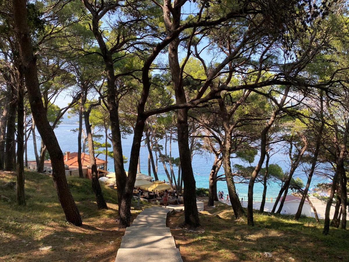 Piscitelli Hébergement de vacances *